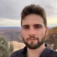 Pulse Insights Employee David S.'s profile photo