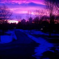 Janice Brodowsky Email & Phone Number
