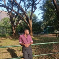 Emeka Chima Email