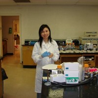 BRITE, North Carolina Central University Employee Xiuli Dong's profile photo