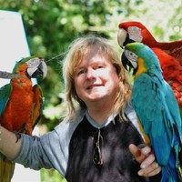 Dave Rickard Email & Phone Number