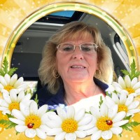 Vantage Health System, Inc Employee Elizabeth Treloar's profile photo
