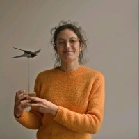 Vogelbescherming Vlaanderen Employee Julie van Houtryve's profile photo