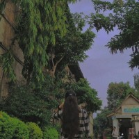 Sindhu Patamata Email