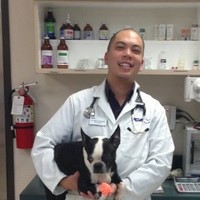 The VET Recruiter Relief Employee Mikél Gonzales's profile photo