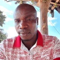 Dapp Employee Bob Phiri's profile photo