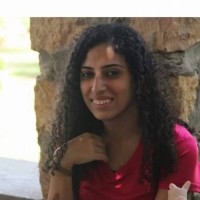 Sandy Nabil Email