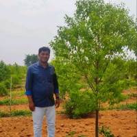 Rathnala Srikanth Email