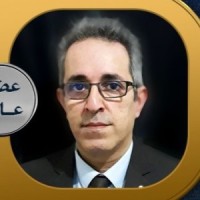 faracoach Employee Amirhossein Heydari's profile photo