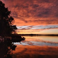 Saugatuck Brewing Company Employee Elizabeth Guzman-Shaw's profile photo