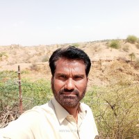 Big Shoe Inc Employee John Davidson's profile photo