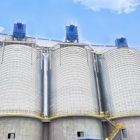 Sron Employee Jason Kuo's profile photo