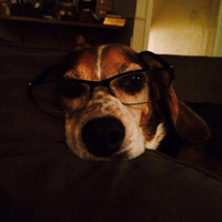 Orion Township Public Library Employee Kurt Schultz's profile photo