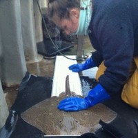 Natural England Employee Libby West's profile photo