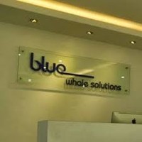 Catherin Bluewhalesolutions's profile photo