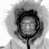 Maniilaq Association Employee Kari Lundgren's profile photo