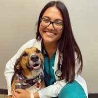 Scout Veterinary Care Employee Maria G.'s profile photo