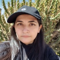 Soxland Inc. Employee Marina Heinsohn's profile photo