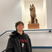 Diego Cicotoste Email