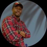 Design Interface Inc. Employee Charles Amadi's profile photo