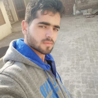 Indesit Company Employee Malik Malik's profile photo