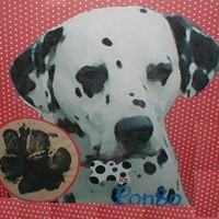 HCE Employee Ava Swartslander's profile photo