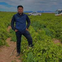 Agrofesa® Employee Daniel Guerrero's profile photo