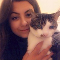 Ana Rvn Email