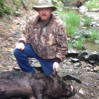 Diamond Pet Foods Employee Greg Sherman's profile photo
