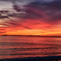 Juan Rodriguez's profile photo