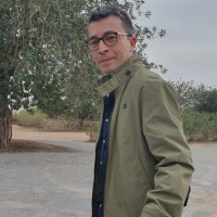 NDF International Employee Ado Cassuto's profile photo