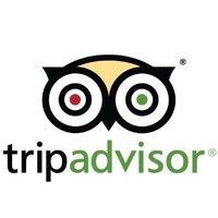 Viet Nam Employee Cat Cruises's profile photo