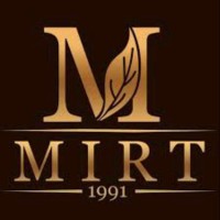 Mirt Employee Ilona Rudenko's profile photo