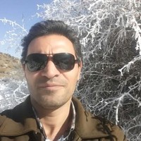 Msv Co. Employee Ramin Siabishahrivar's profile photo