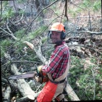 Downes Tree Service Employee Peter Ellis's profile photo