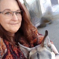 Sue Stafford Email & Phone Number