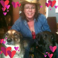 Dedicated Construction Management Employee Beth Reed's profile photo