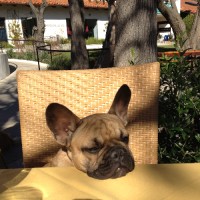 Live Nation Entertainment Employee Nick Masters's profile photo