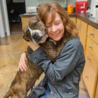 Katie Smithson Email & Phone Number