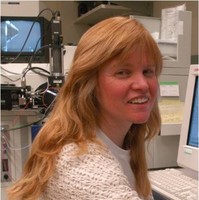 Kathryn Stone