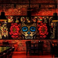 Mario Rojas Email & Phone Number