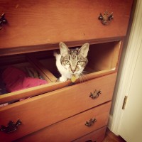 Walker Sands Employee Derek Edmond's profile photo