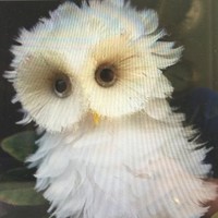 Y'all Tech Employee Shirley Johnson's profile photo