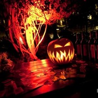 Jason Flores