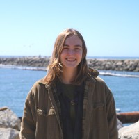 Save Our Shores Employee Olivia Wickett's profile photo