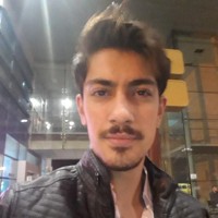 Berk Bay's profile photo