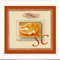 Sandra Crosnoe