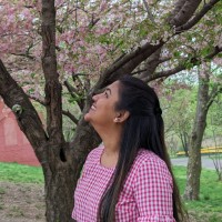 Shruti Chavan Email