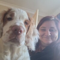 Veterinary Business Development Employee Nikki D's profile photo