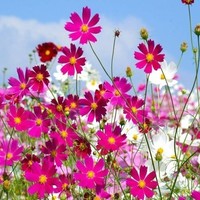 Commission des droits de la personne et des droits de la jeunesse Employee Valérie Féquière's profile photo